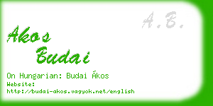 akos budai business card