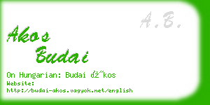 akos budai business card
